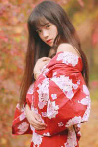 新上门女婿全集